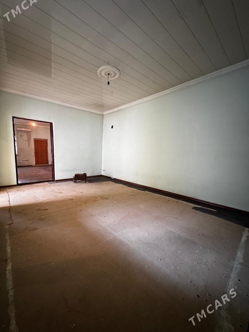 Choganly 13sotok - Чоганлы - img 6