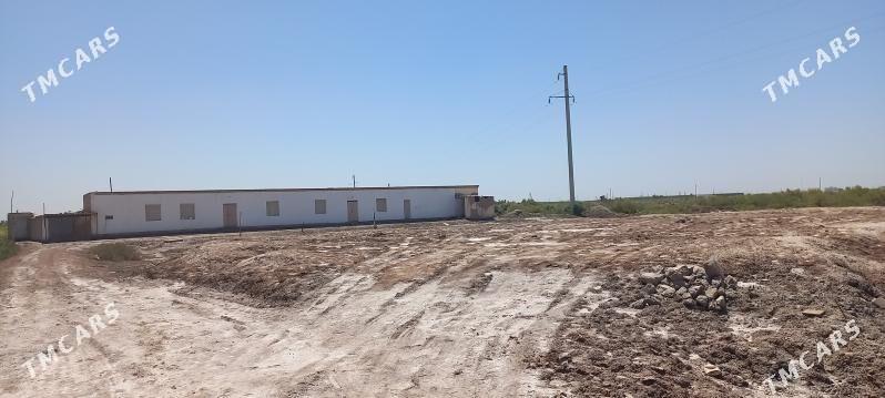 uçaska jay - Şabat etr. - img 2