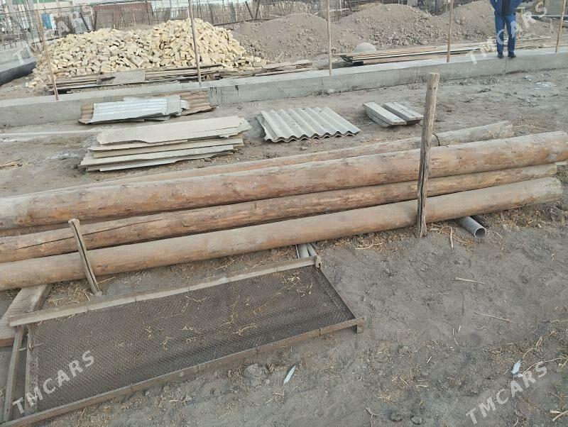 gyzyl  yagaç - Туркменабат - img 3