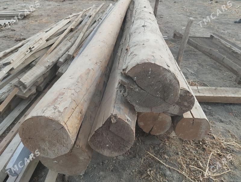 gyzyl  yagaç - Туркменабат - img 2