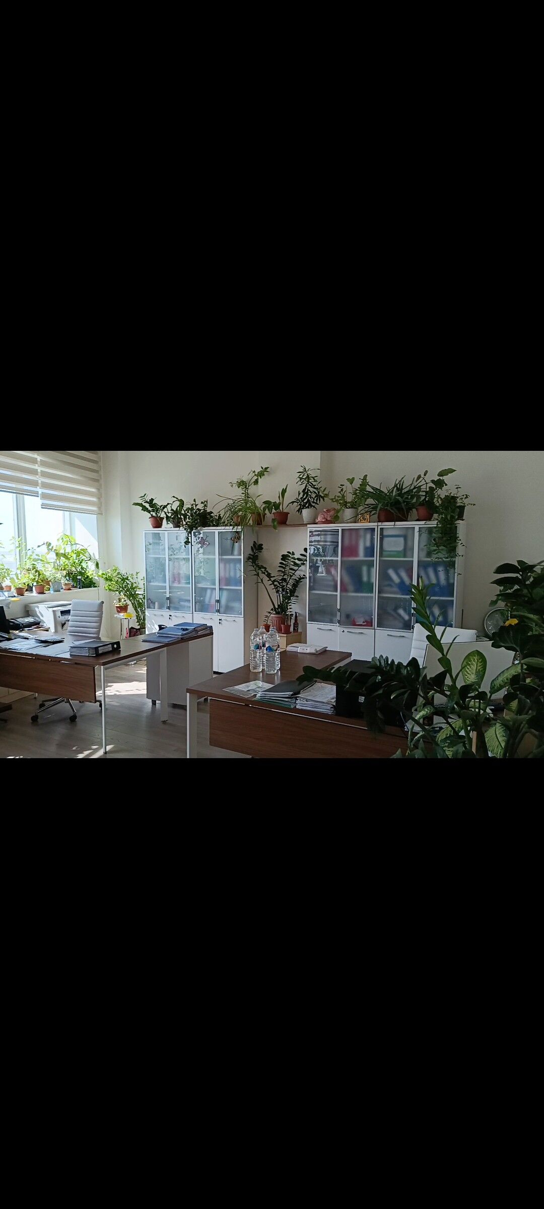 SATLYK   OFIS      - Mary - img 6