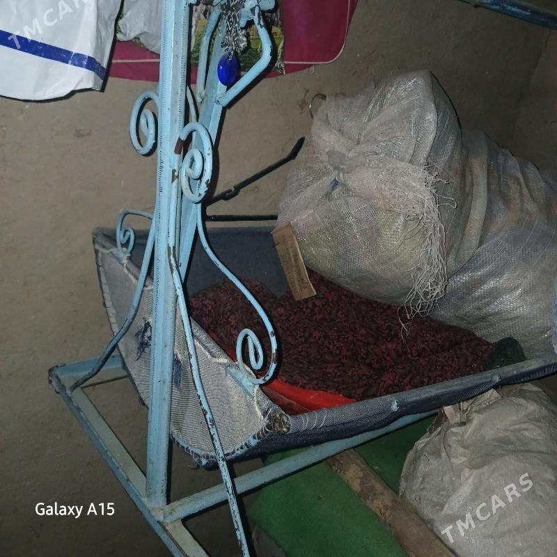 салланжак - Köneürgenç - img 2