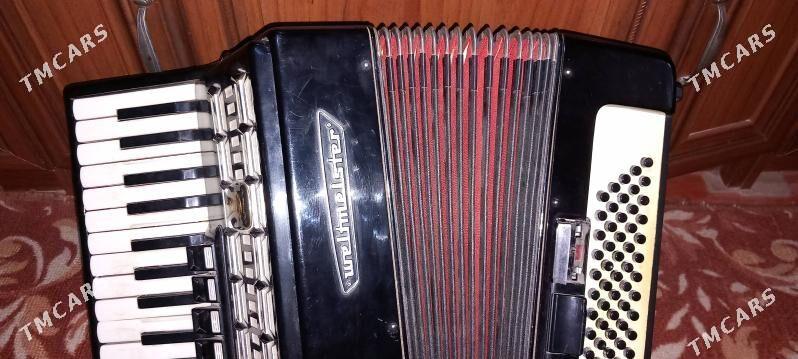 akardion weltmeister - Daşoguz - img 2