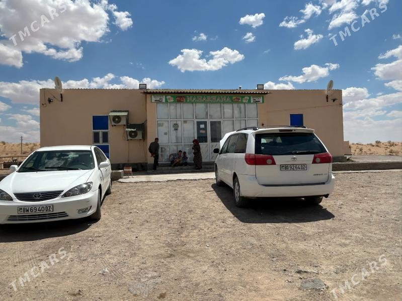 ÇAÝHANA - Daşoguz - img 1