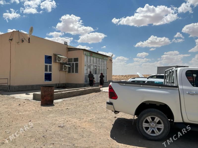 ÇAÝHANA - Daşoguz - img 2