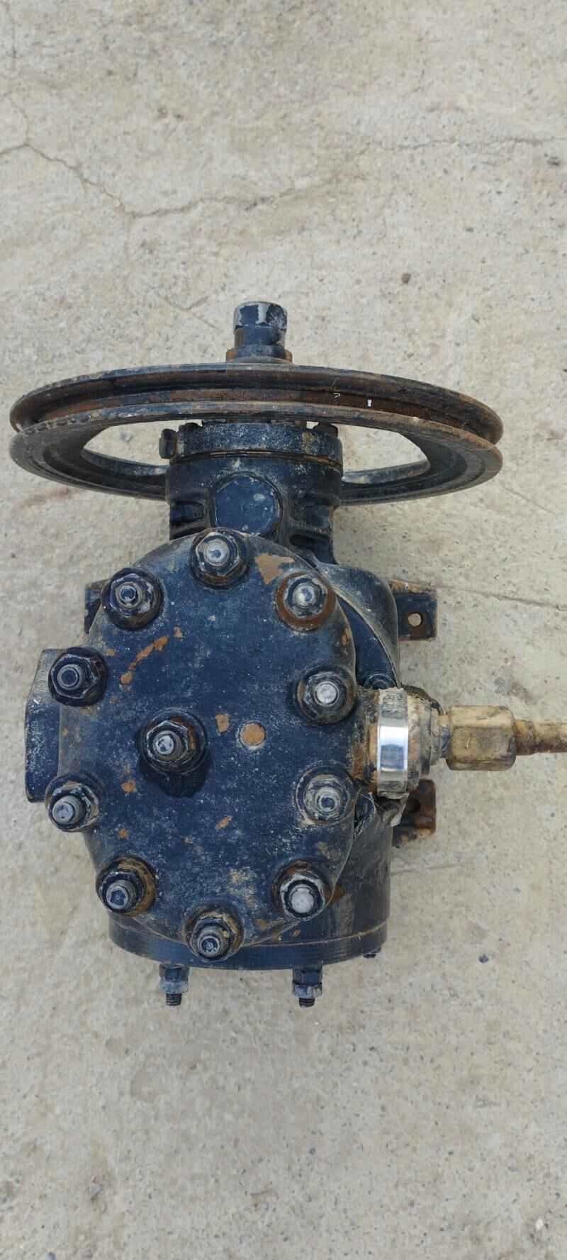 Kampiresir Yel beryan 3 000 TMT - Яшлык - img 3