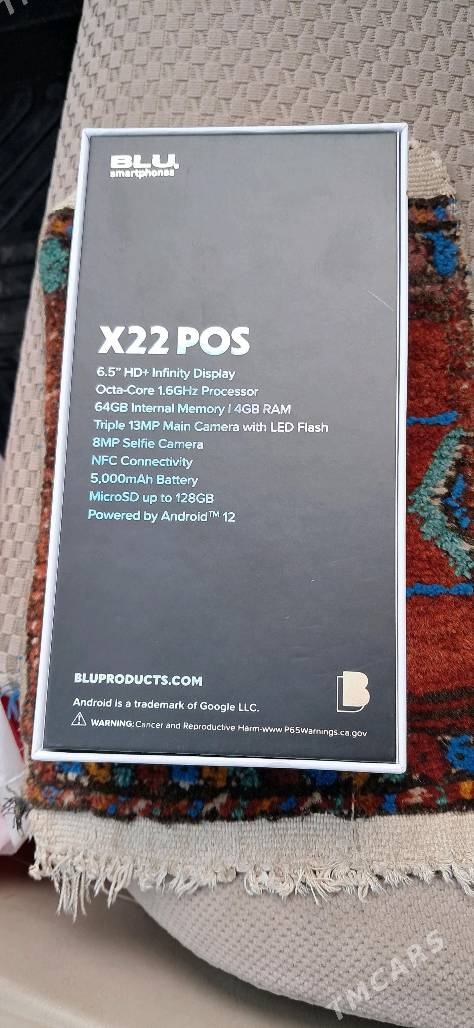 blue x22 - Mary - img 1