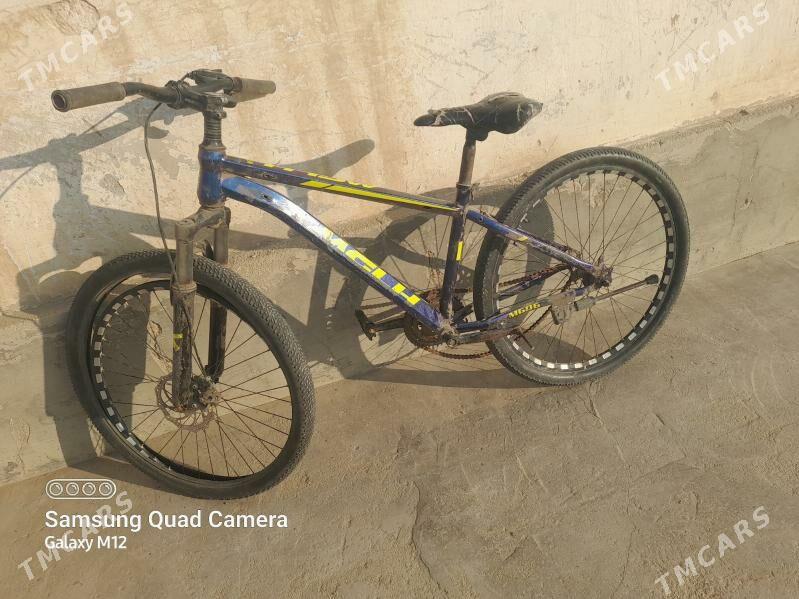 WelikWelik - Эсенгулы - img 1