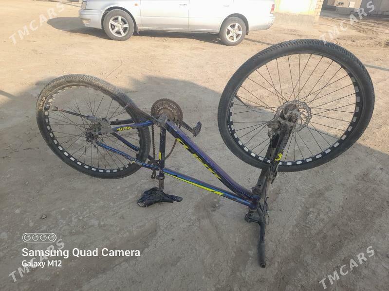 WelikWelik - Эсенгулы - img 4