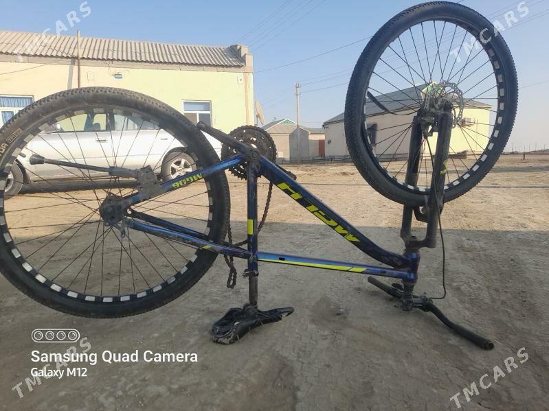 WelikWelik - Эсенгулы - img 2