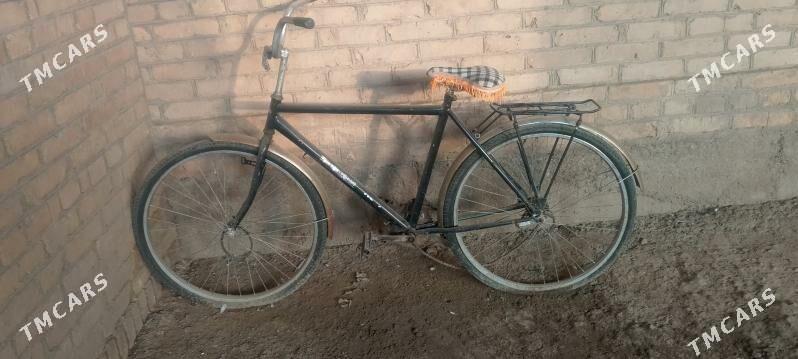 welik - Dänew - img 2