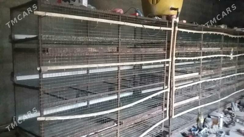 bedene setka - Gökdepe - img 2