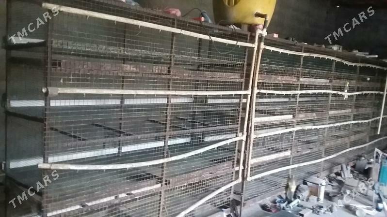 bedene setka - Gökdepe - img 1