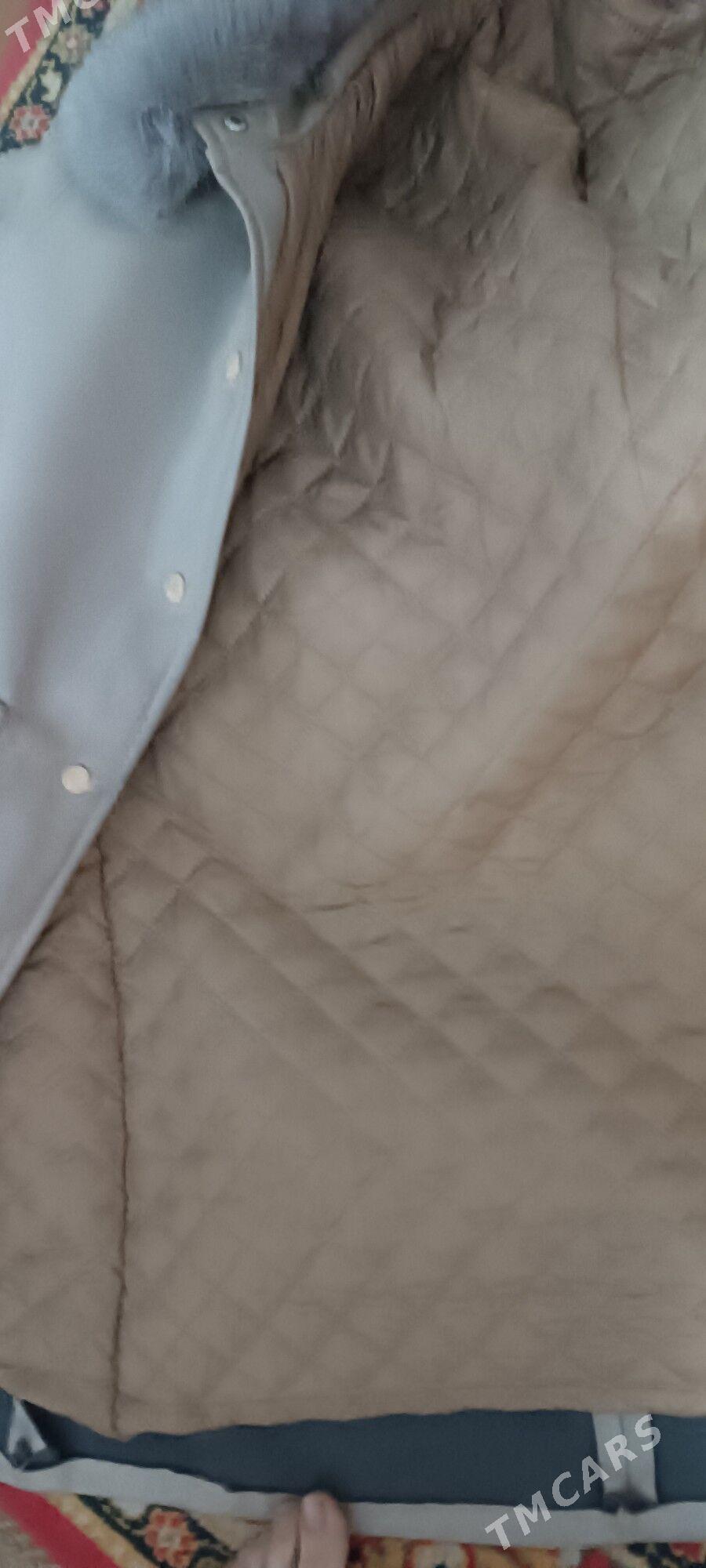 uzyn koja galyn - Daşoguz - img 2