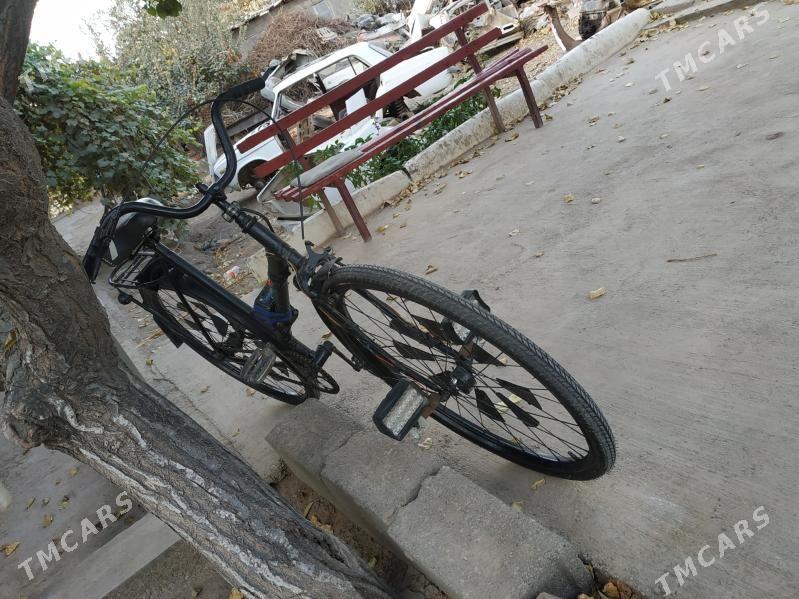 gowy - Gurbansoltan Eje - img 10