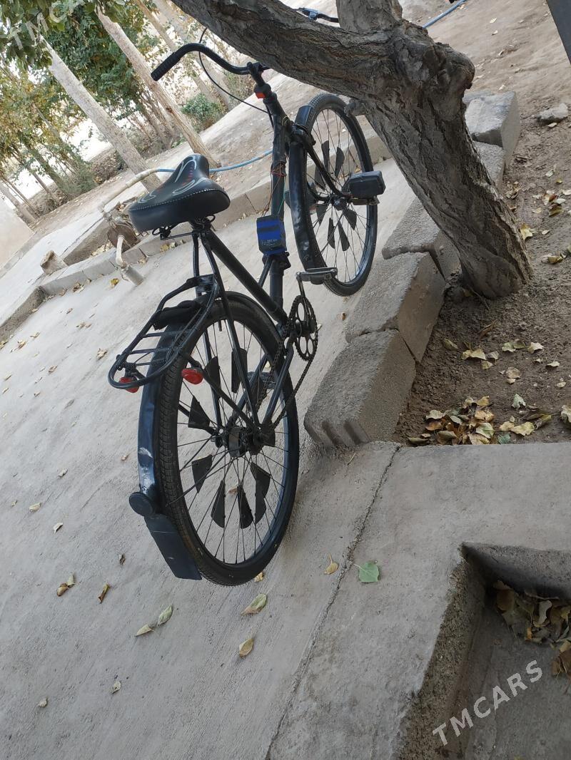 gowy - Gurbansoltan Eje - img 6