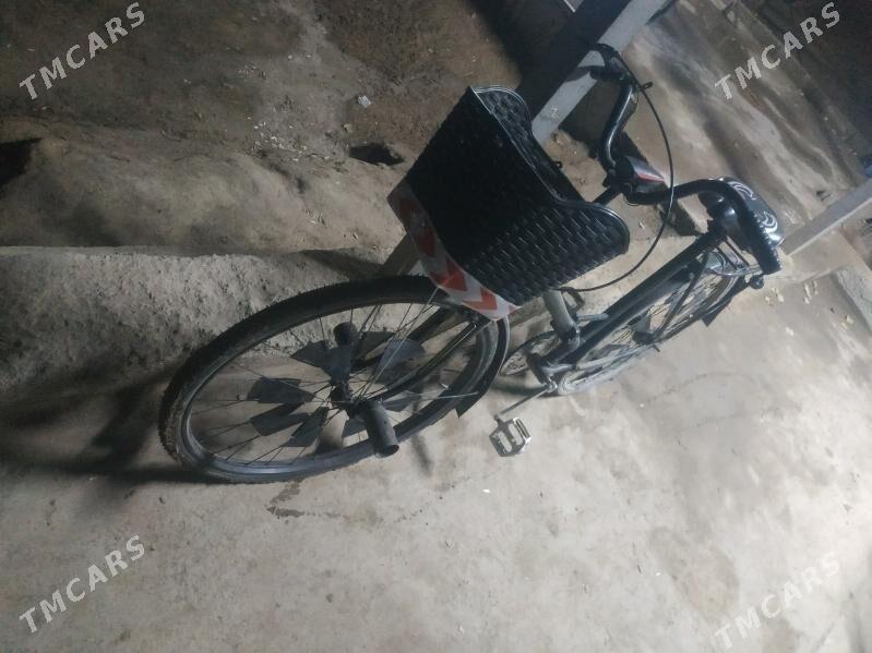 gowy - Gurbansoltan Eje - img 2