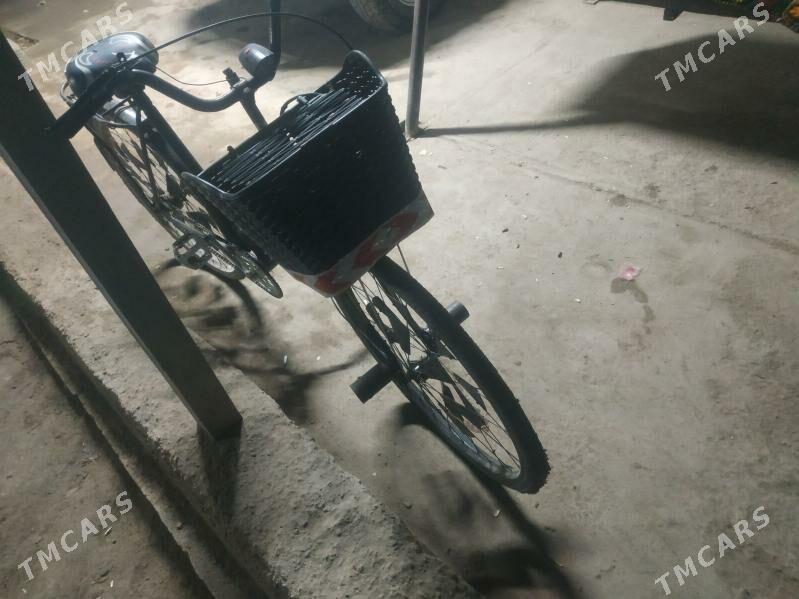 gowy - Gurbansoltan Eje - img 4