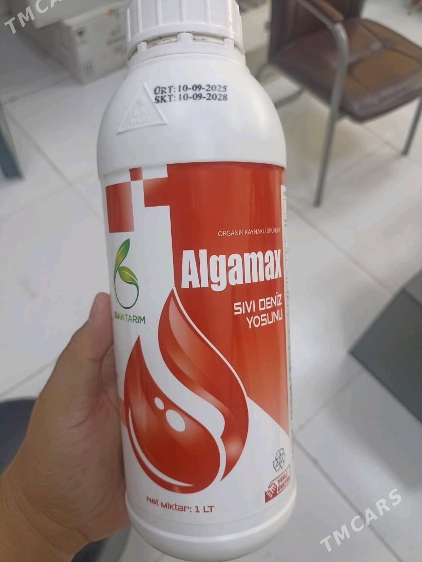 Teplissa parnik Algamax - Мары - img 1