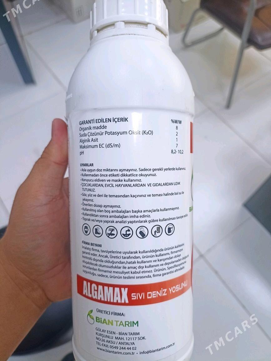 Teplissa parnik Algamax - Мары - img 2