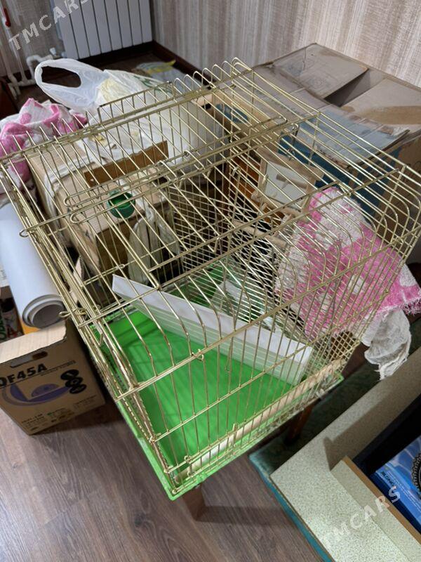 kletka клетка - 8 мкр - img 2