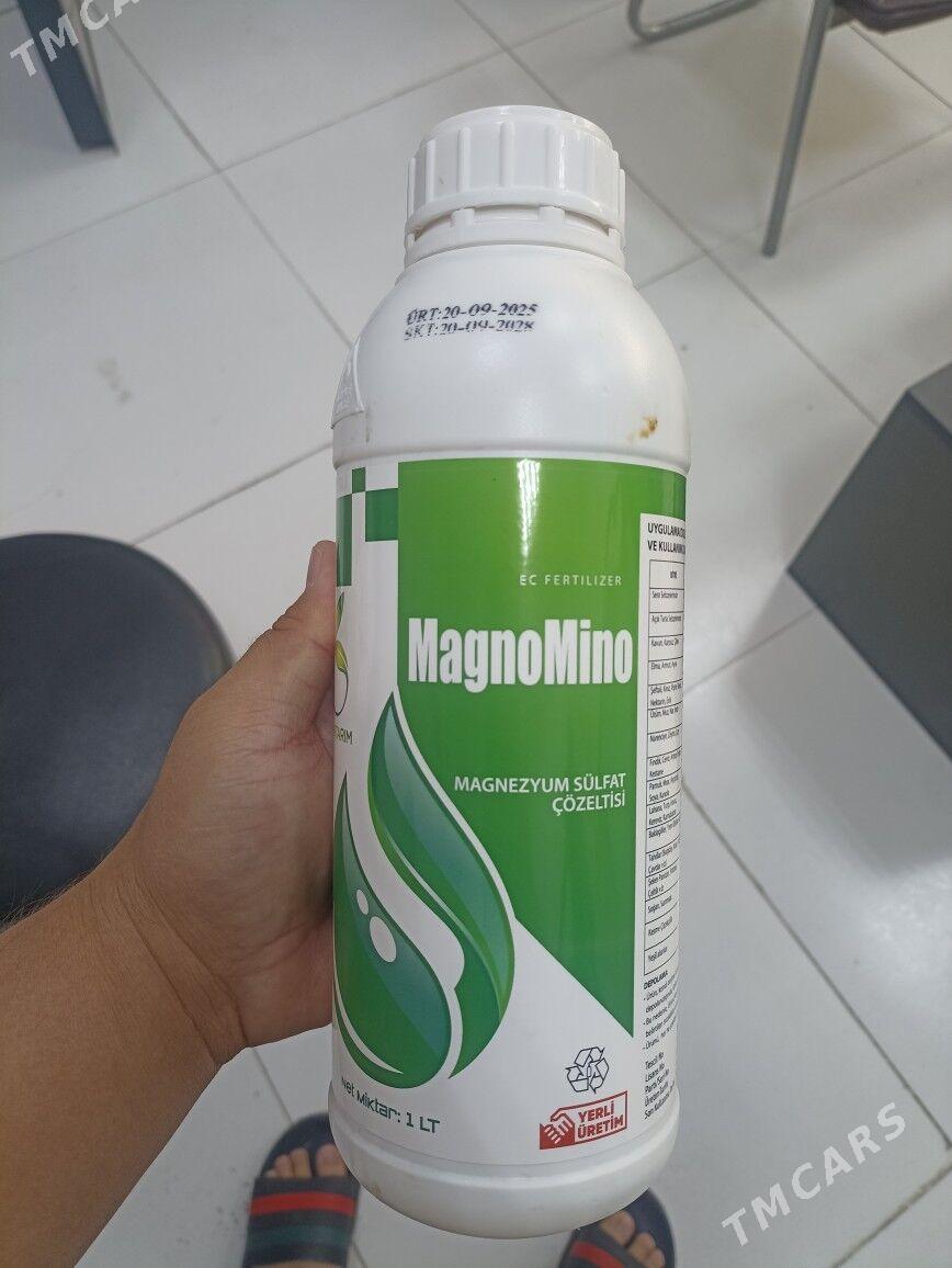 Teplissa,Parnikdokun MagnoMino - Мары - img 1