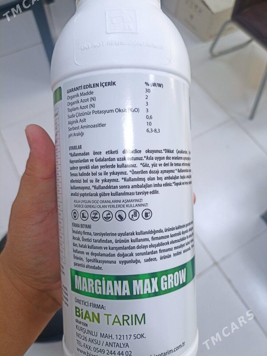 Teplisa,Parnik dokun Margiana - Мары - img 2