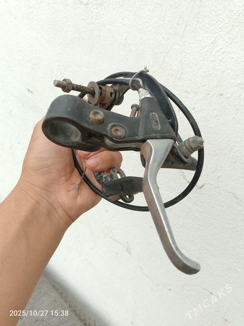 saylar. - Daşoguz - img 4