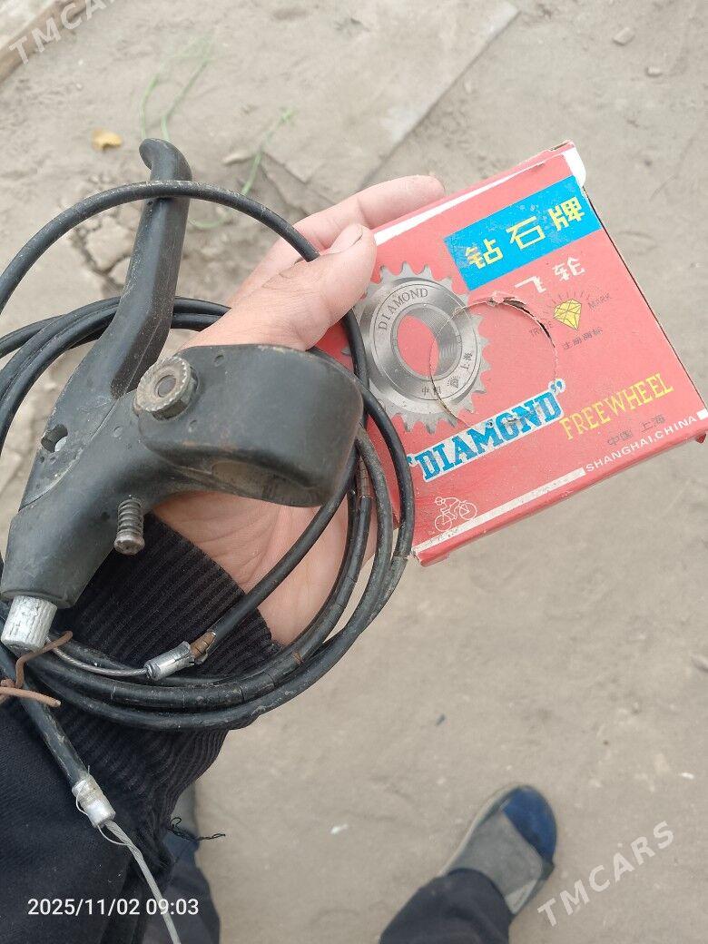 saylar. - Daşoguz - img 6