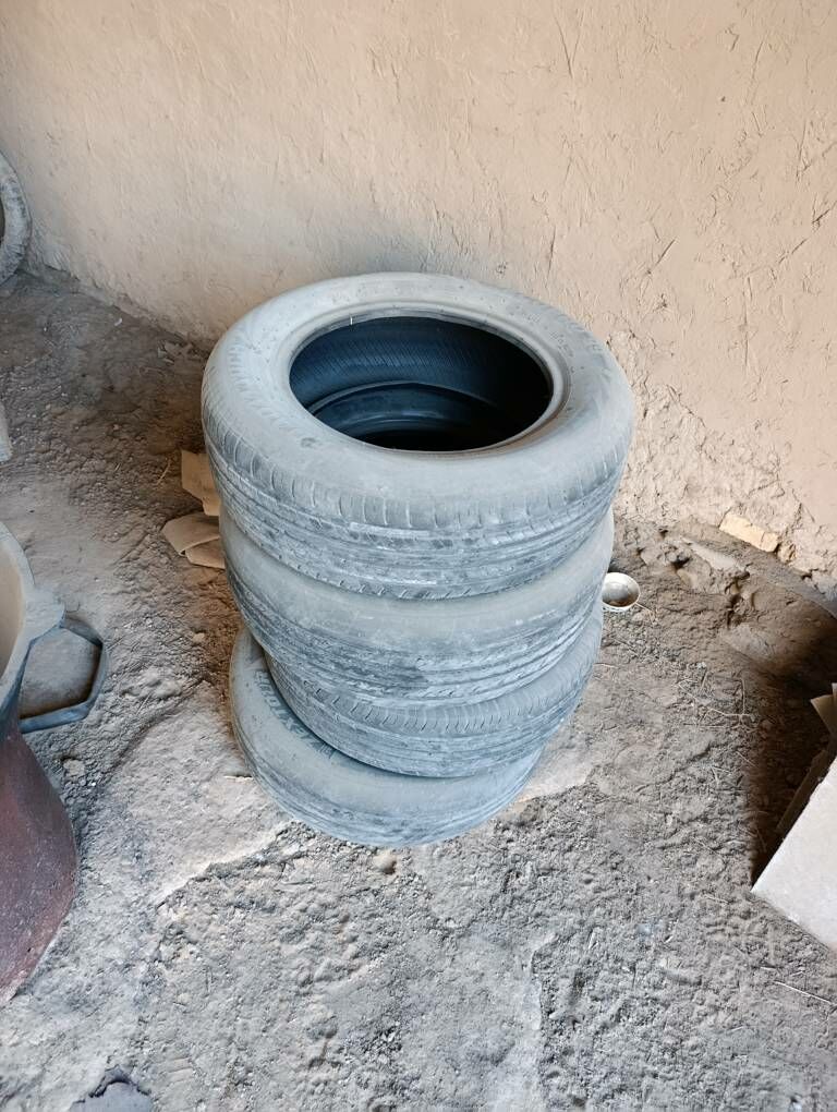 karopga, teker 15 lik 1 300 TMT - Mary - img 1