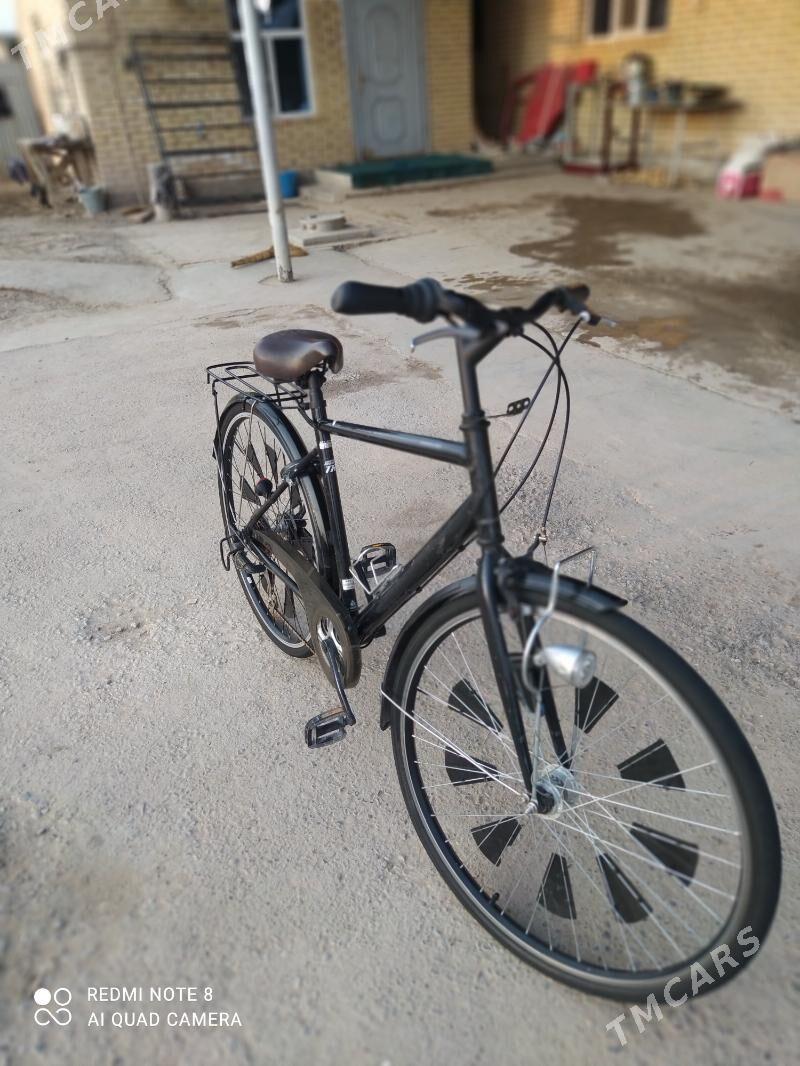 Welsewit 28 lik abmen telefon - Mary - img 5