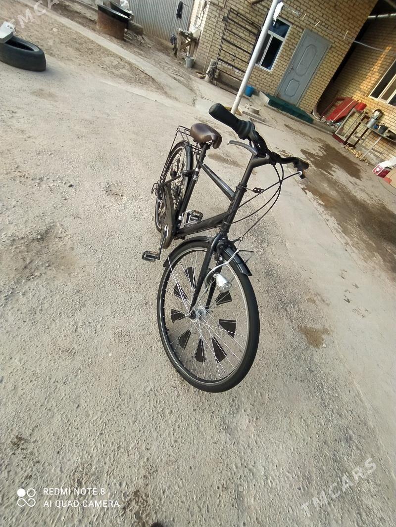 Welsewit 28 lik abmen telefon - Mary - img 6