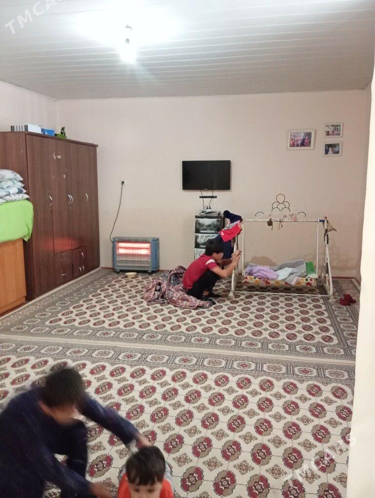 Satlyk jay - Mary - img 7