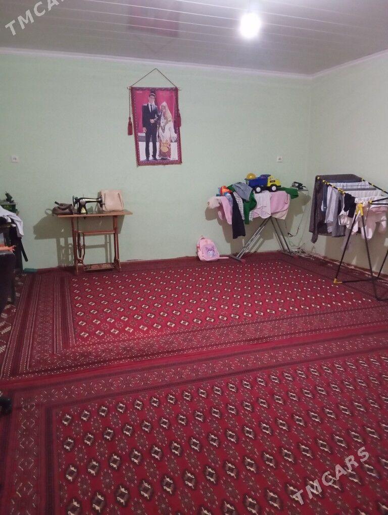 Satlyk jay - Mary - img 6