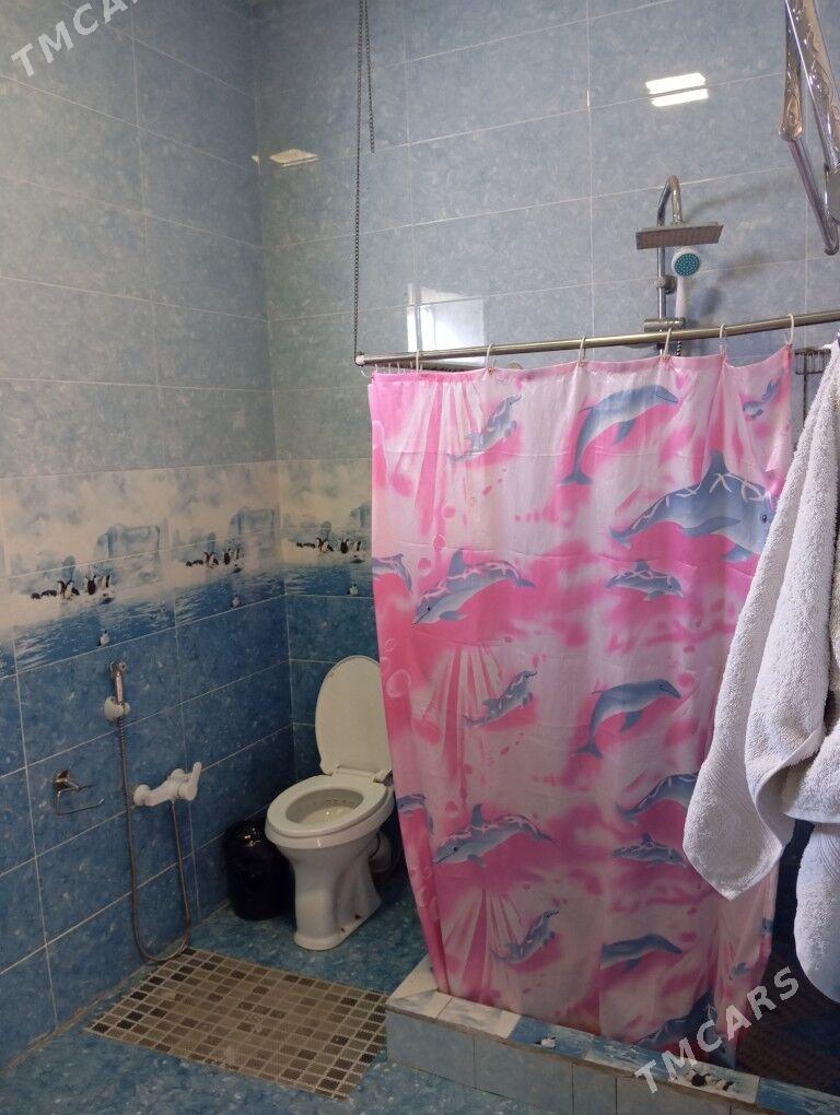 Satlyk jay - Mary - img 2