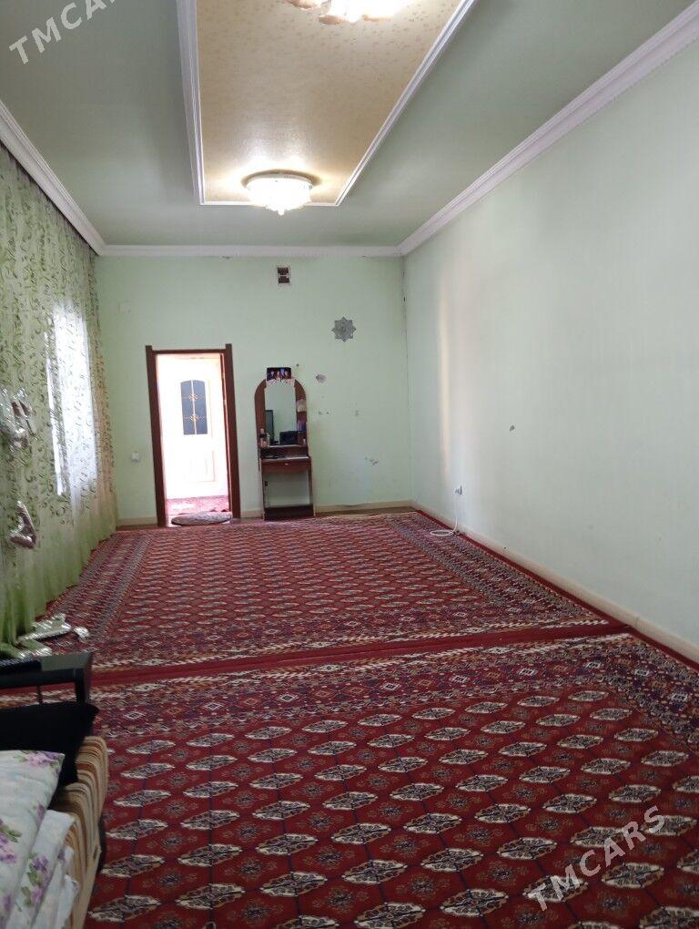 Satlyk jay - Mary - img 4