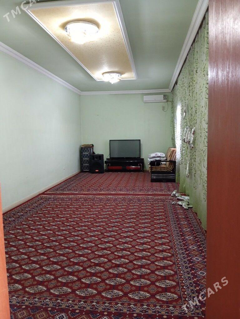 Satlyk jay - Mary - img 5