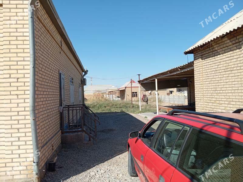 Satlyk jay - Mary - img 3