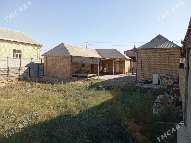 Satlyk jay - Mary - img 9