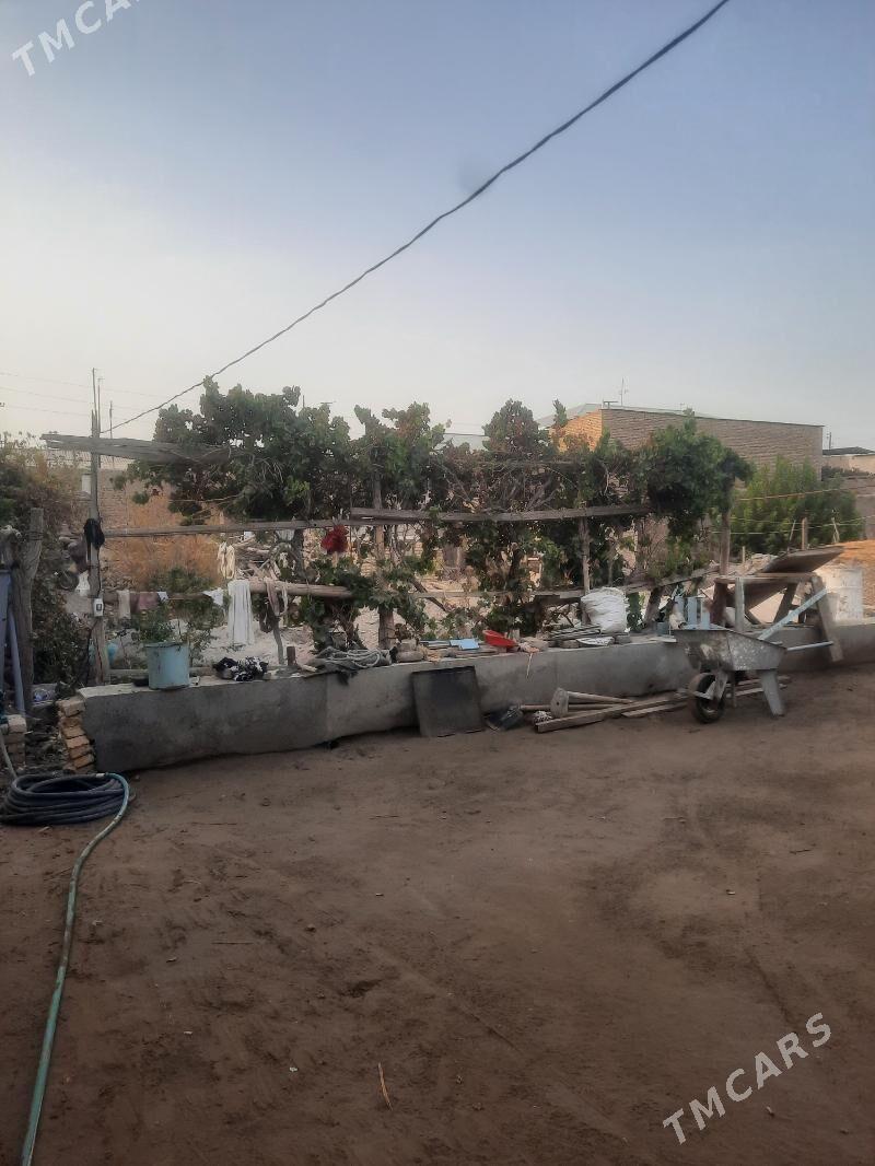 Хусусы жай - Фарап - img 3