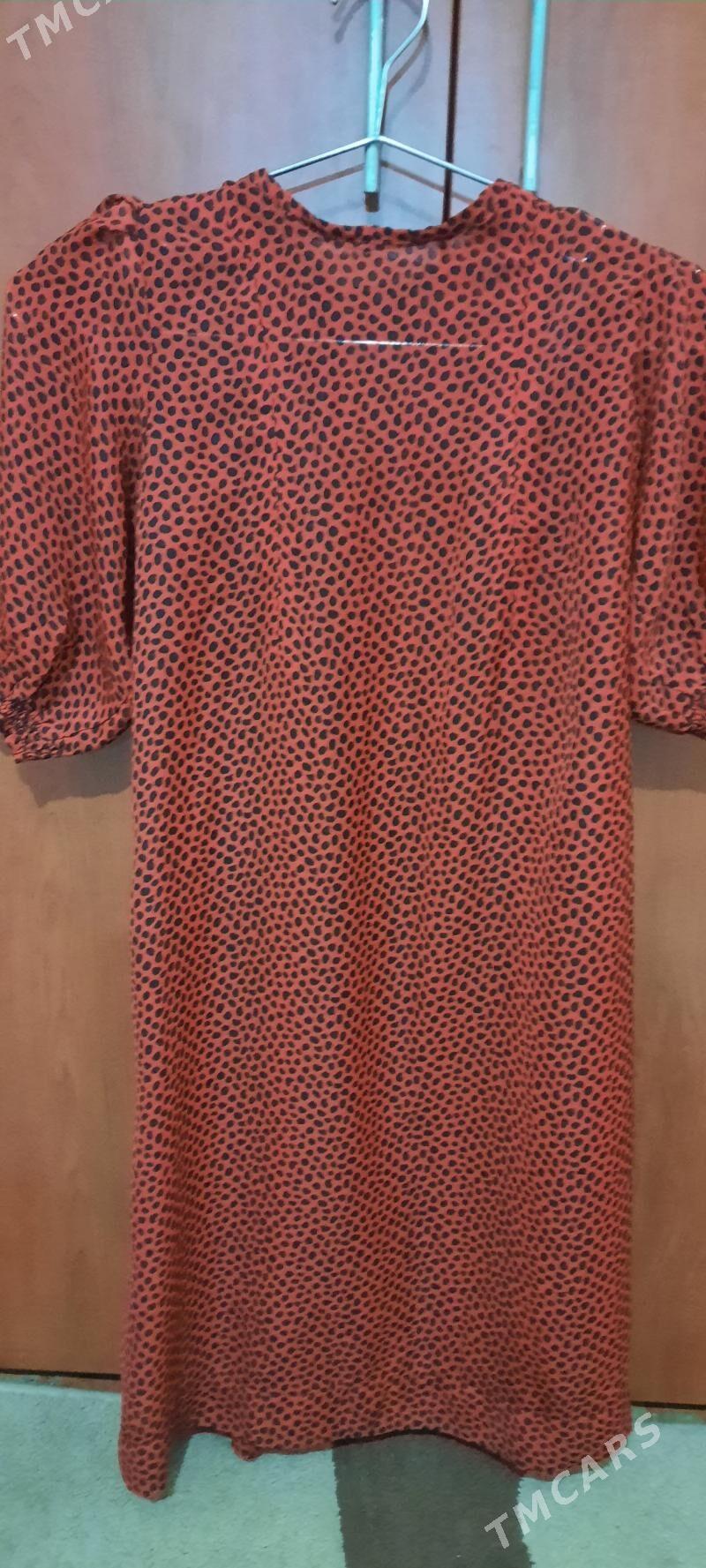 esikler - Ak bugdaý etraby - img 10