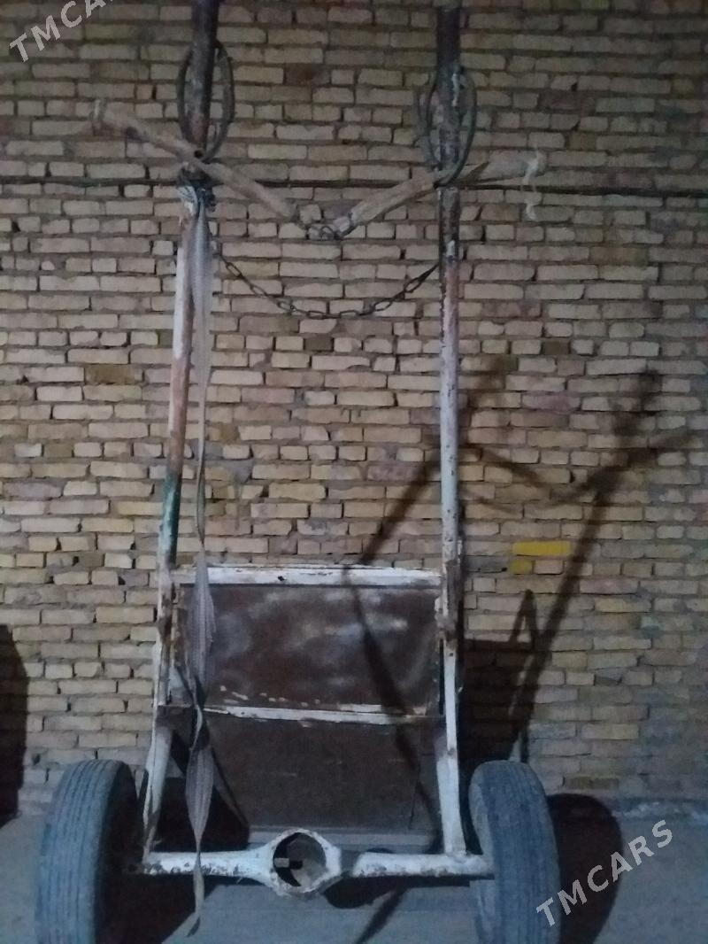 Eşek we araba - Чарджоу - img 1