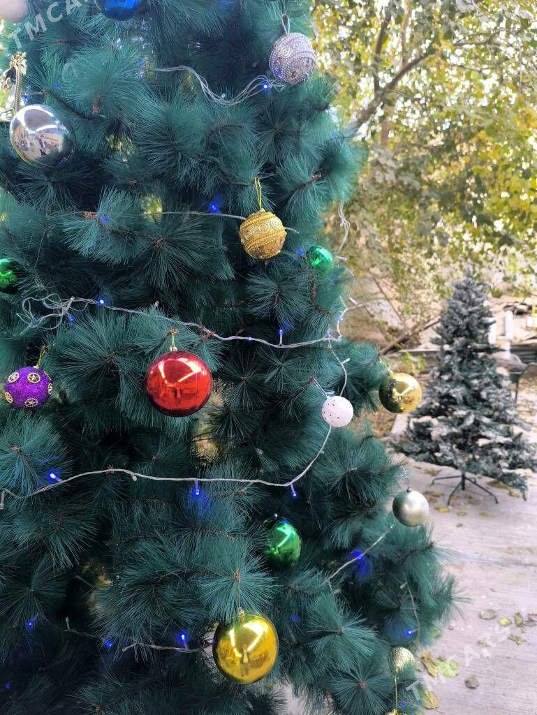 Ёлка - Чоганлы - img 3