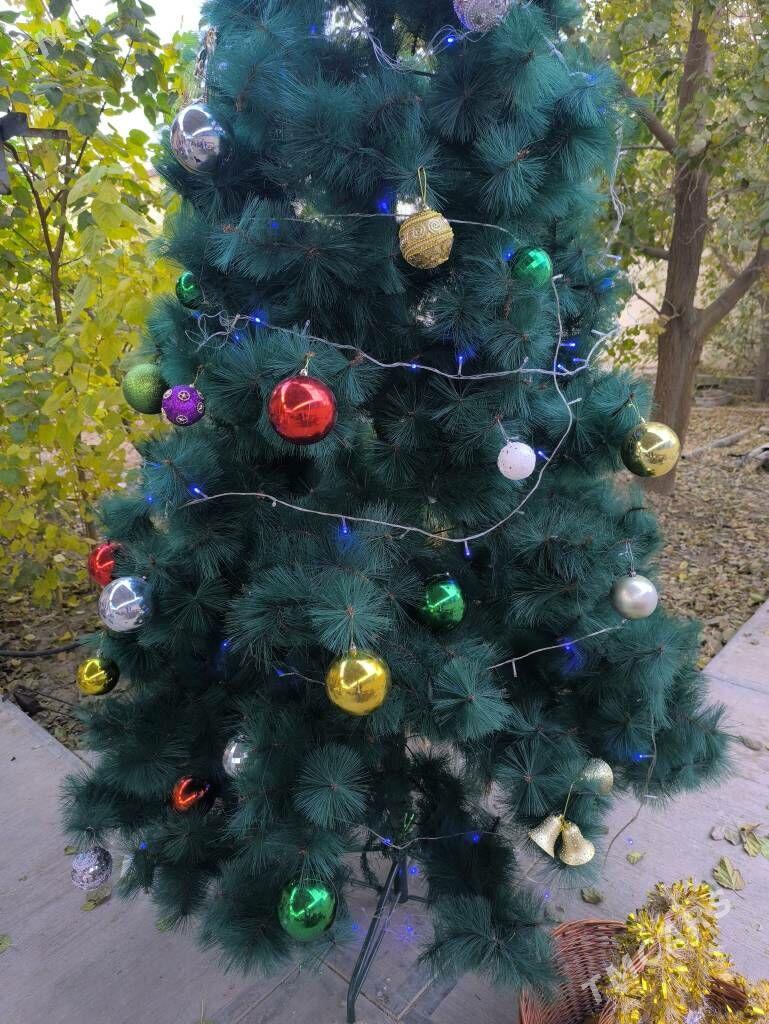 Ёлка - Чоганлы - img 2