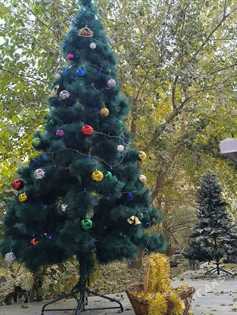 Arça - Aşgabat - img 2