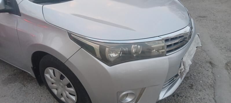 ХАЛИЖИ МОРДА 5 600 TMT - Тязе заман - img 2