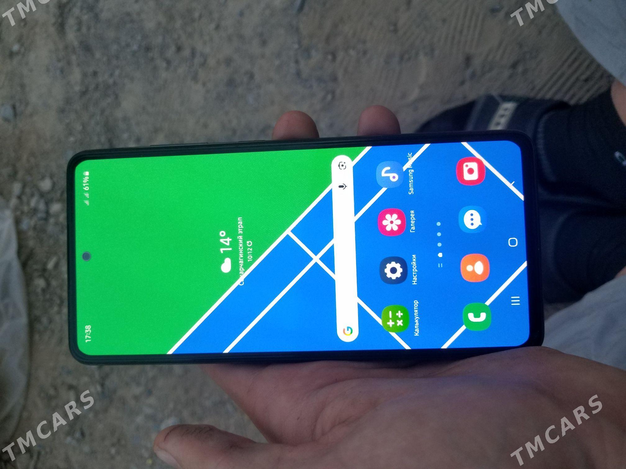 a52 - Sakarçäge - img 2