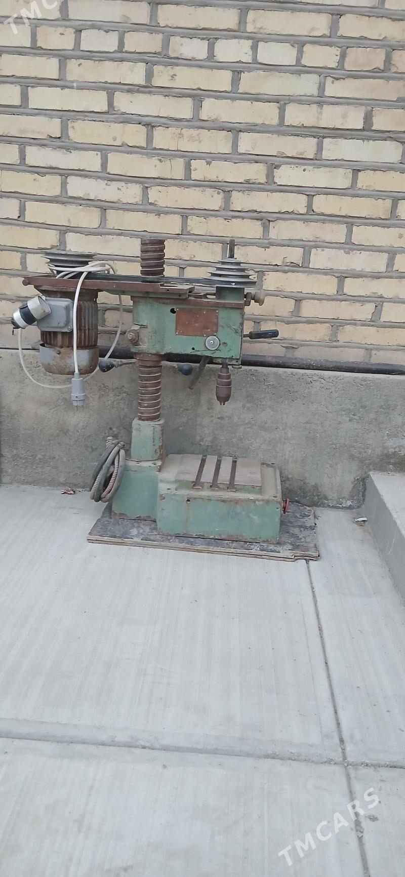 Drel - Ak bugdaý etraby - img 2