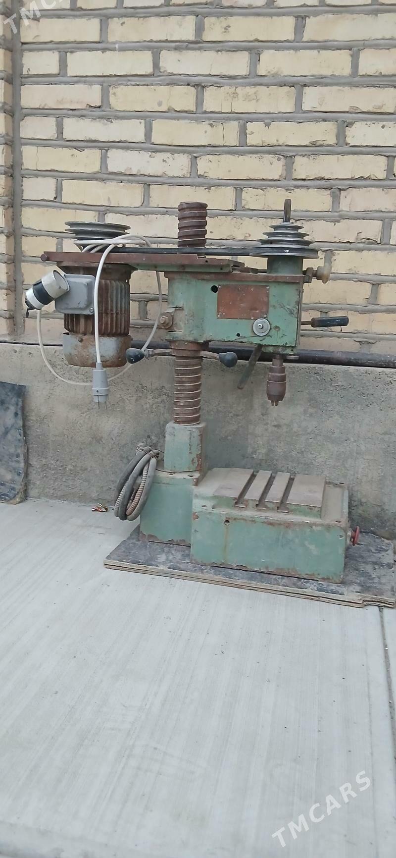 Drel - Ak bugdaý etraby - img 1