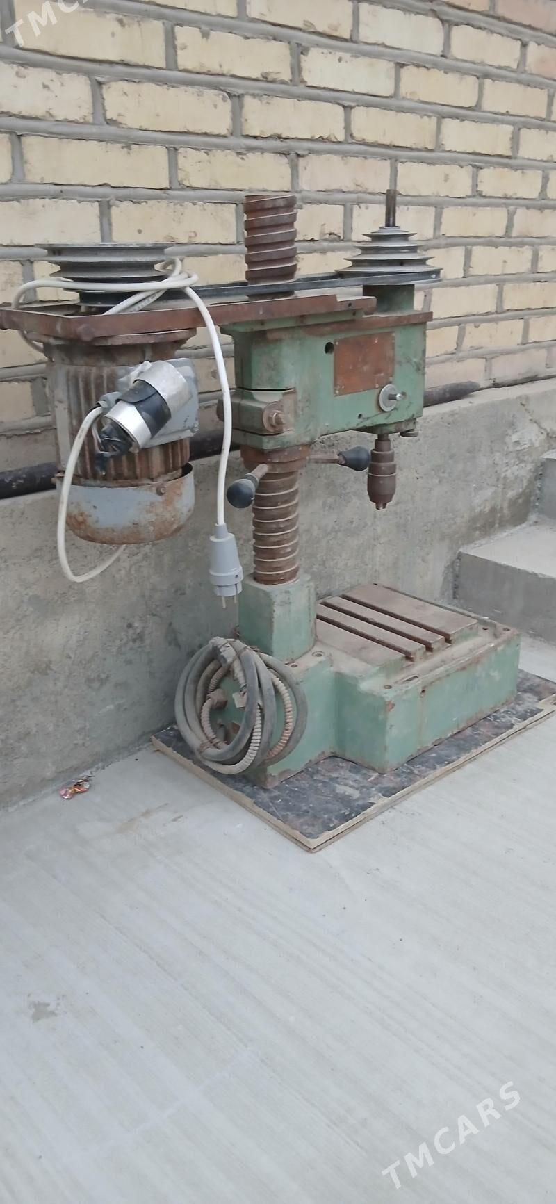 Drel - Ak bugdaý etraby - img 4